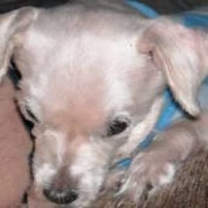 Meet your Posher, Derrick